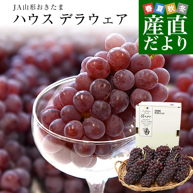 岡山県より産地直送 JA晴れの国岡山 津山支所 訳あり良品 ニュー