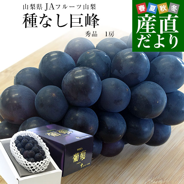 ぶどう 巨峰 山梨」の人気商品一覧 | 安い商品を通販サイトから