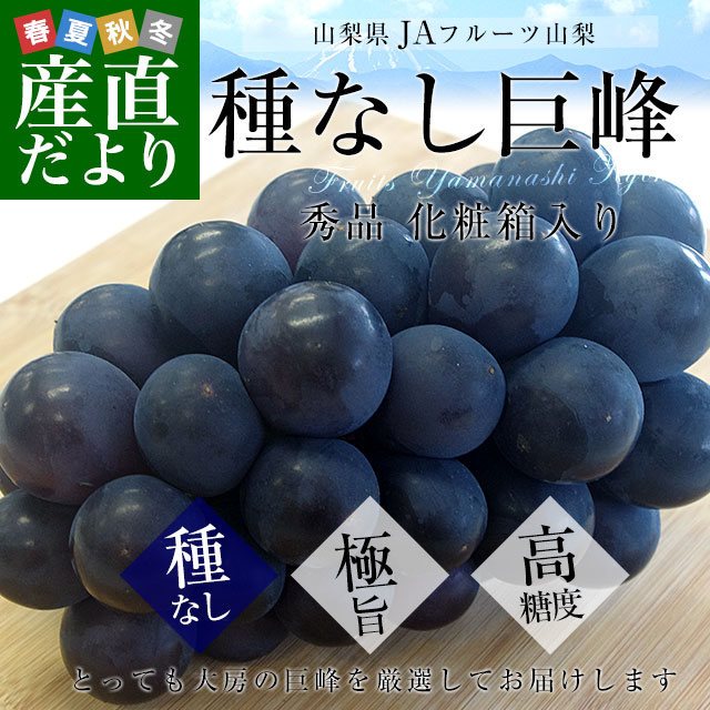 山梨県より産地直送 JAフルーツ山梨 種なし巨峰 秀品 大房1房入り化粧