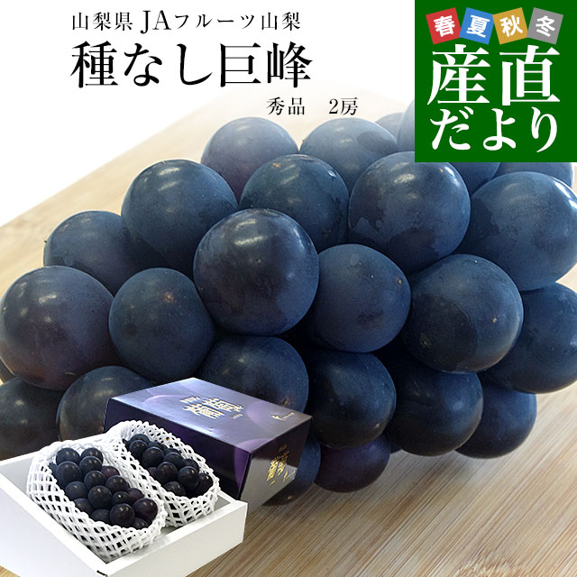 RYn JAt[cR Ȃ Gi [2[艻ϔ (550g×2[)   Ԃǂ 
