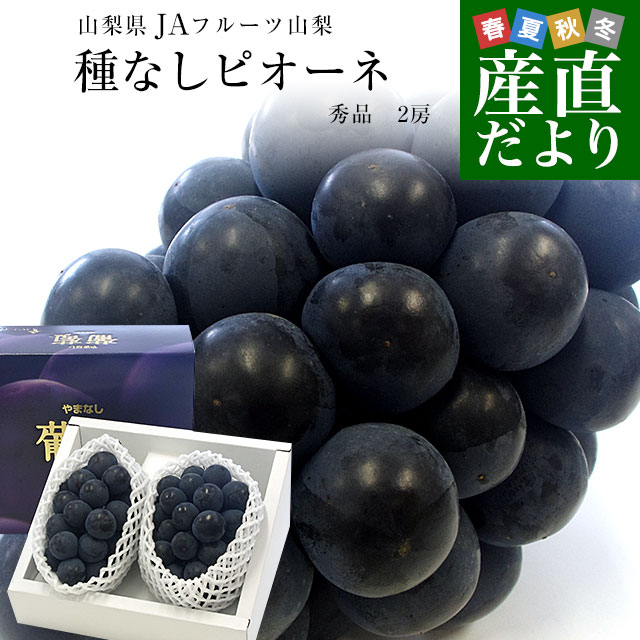 山梨県より産地直送 JAフルーツ山梨 種なしピオーネ 秀品 大房2房入り