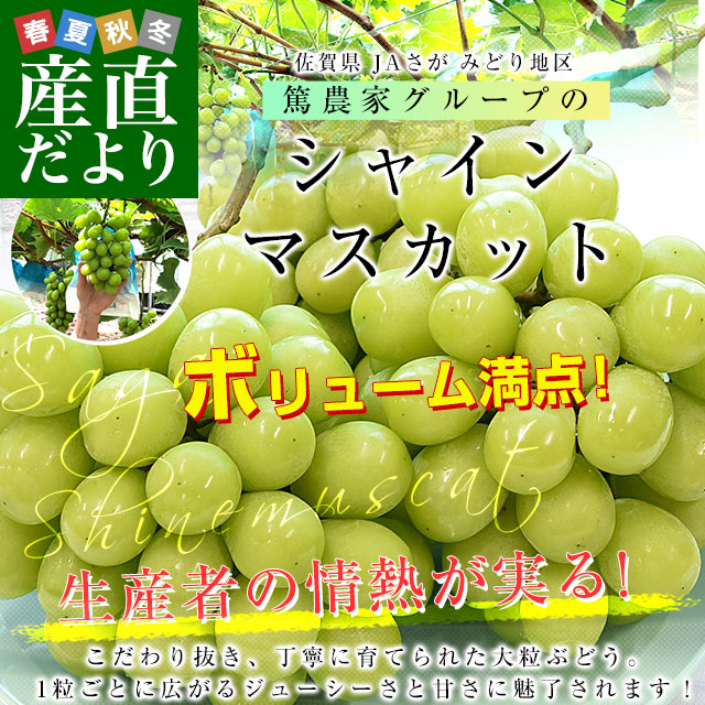 佐賀県より産地直送 JAさが みどり地区 篤農...の詳細画像1