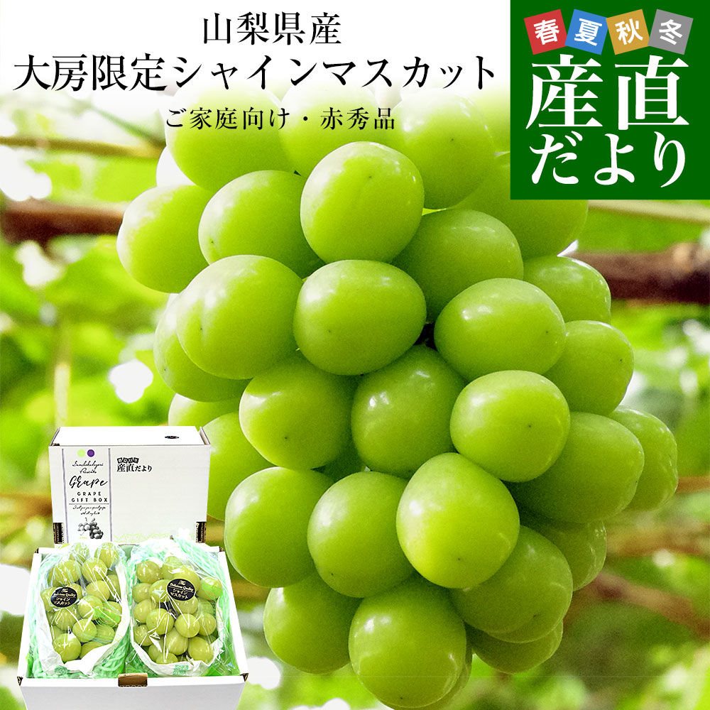 福島県より産地直送 JAふくしま未来 二十世紀梨 秀品 約3キロ (8玉から