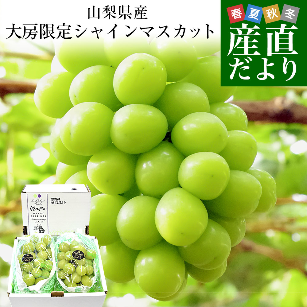 長野県産 究極の食べ比べ！ 高級ぶどう3種セット約1.5kg （クイーン