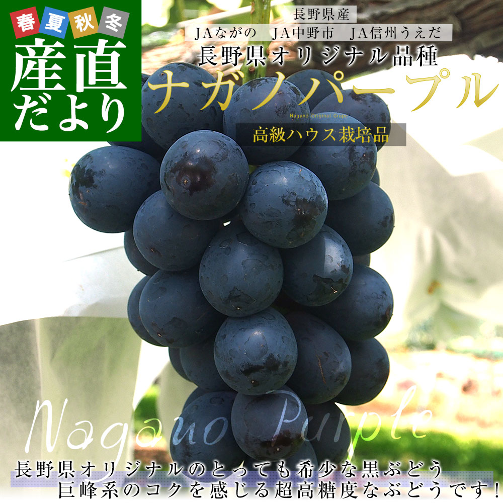 【お中元・夏ギフト】長野県 JAながの ハウス...の詳細画像1