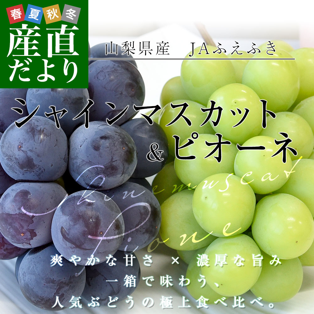 山梨県産 シャインマスカット&ピオーネ 合計約...の詳細画像1