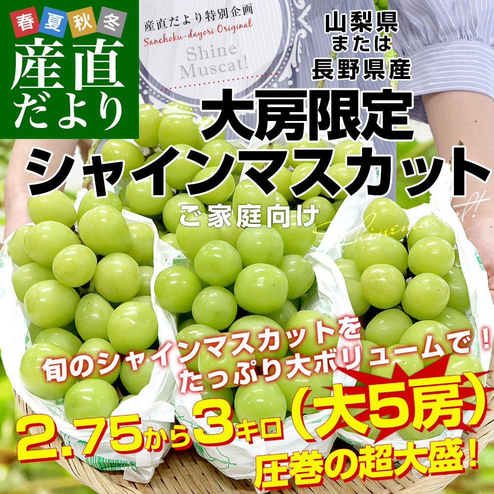 山梨県産または長野県産 大型シャインマスカット超盛2.75キロから3キロ