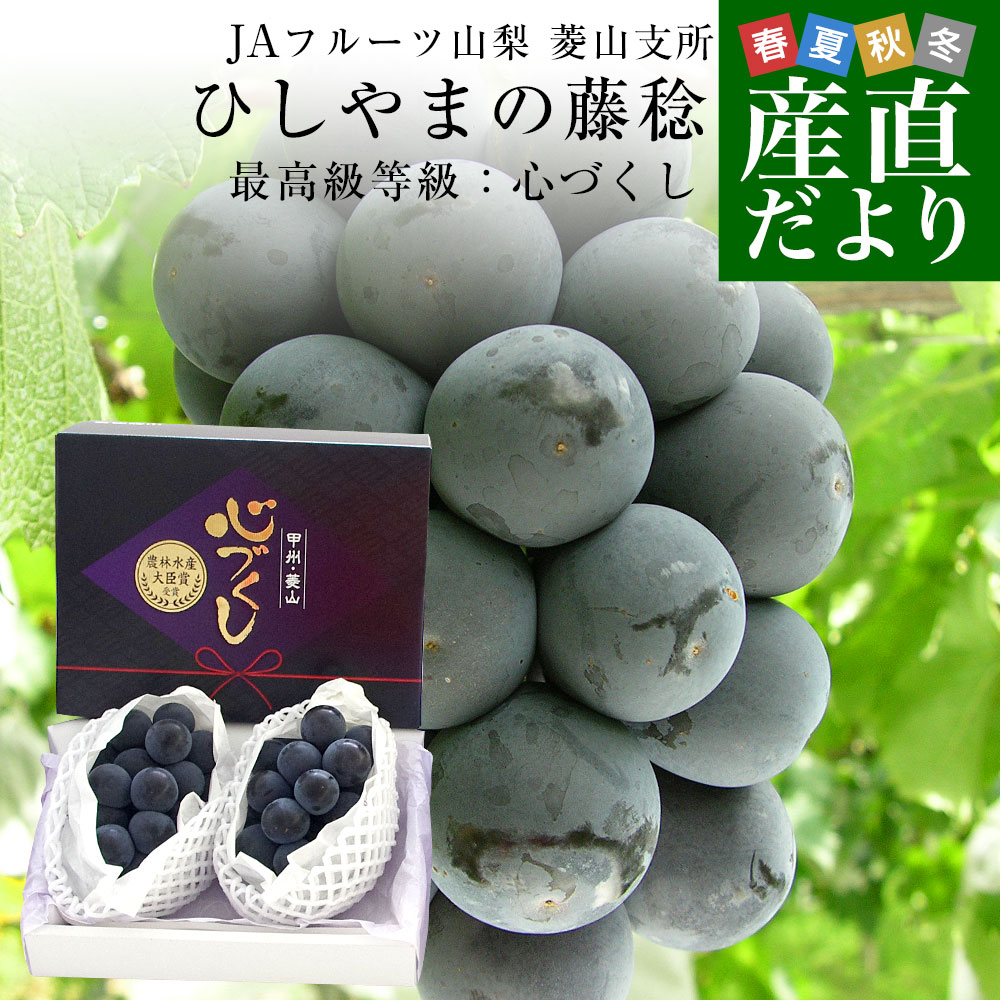 山梨県より産地直送 JAフルーツ山梨・菱山支所 ひしやまの藤稔 最高級