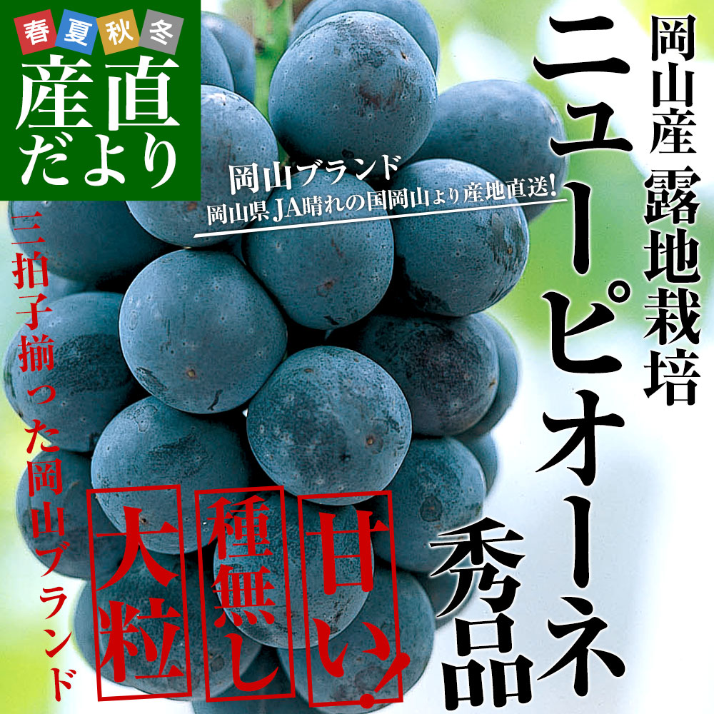 岡山県より産地直送 JA晴れの国岡山 津山支所...の詳細画像1