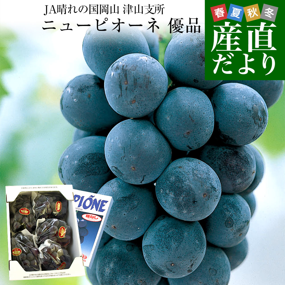 岡山県より産地直送 JA晴れの国岡山 津山支所 ニューピオーネ 優品 約2