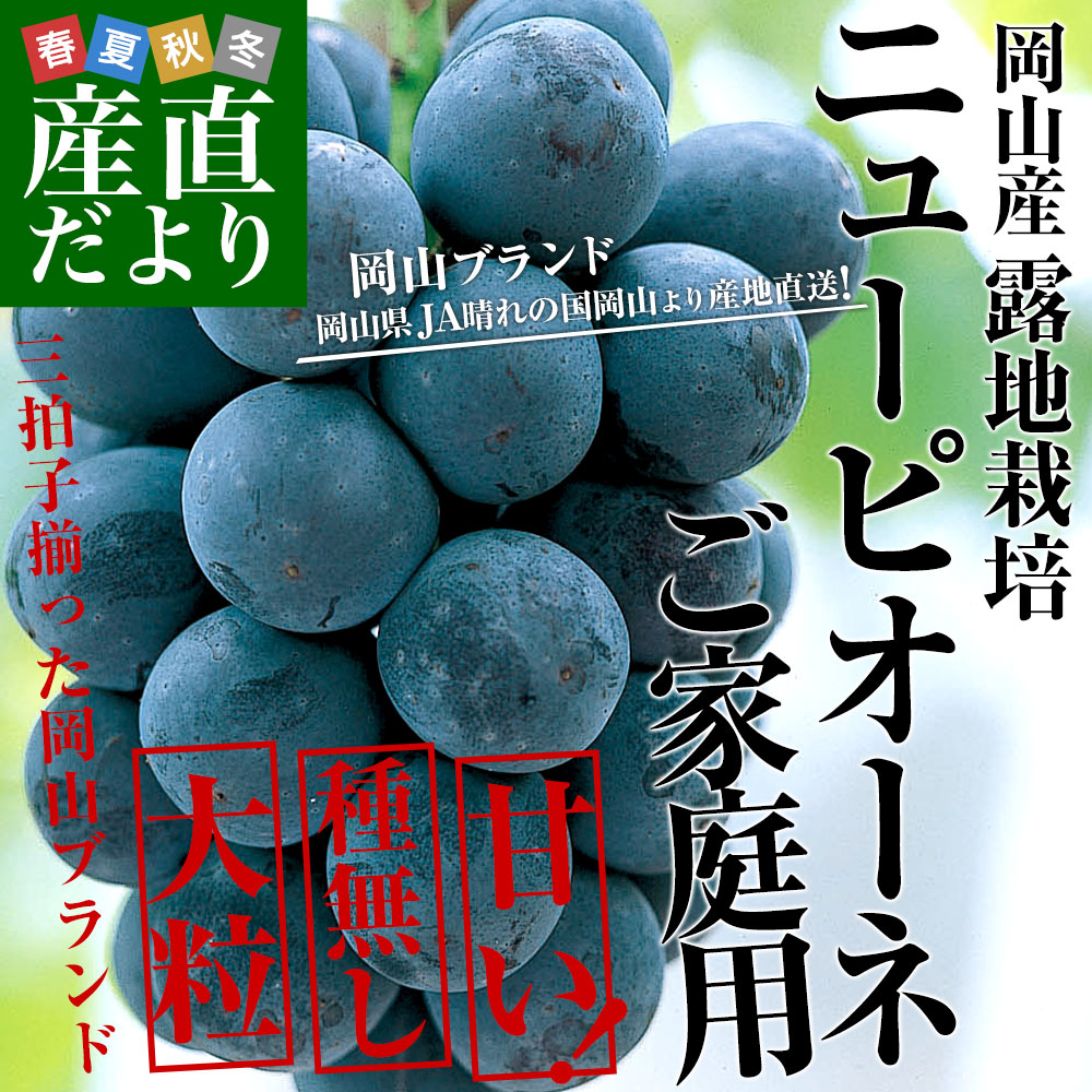 岡山県より産地直送 JA晴れの国岡山 津山支所...の詳細画像1