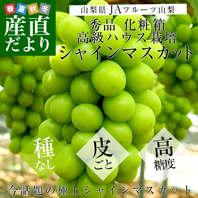 クール便　大粒　特秀品　シャインマスカット　産地直送　山梨県 ぶどう シャインマスカット ブラックシャインマスカット 山梨県