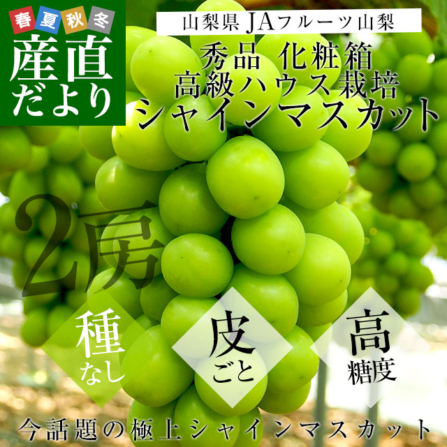 山梨県より産地直送 JAフルーツ山梨 シャインマスカット 秀品 大房2房