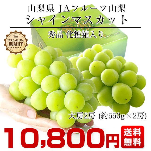 山梨県より産地直送 JAフルーツ山梨 シャインマスカット 秀品 大房2房入り 化粧箱 (約550g×2房) 送料無料 葡萄 ぶどう　お中元　夏ギフト