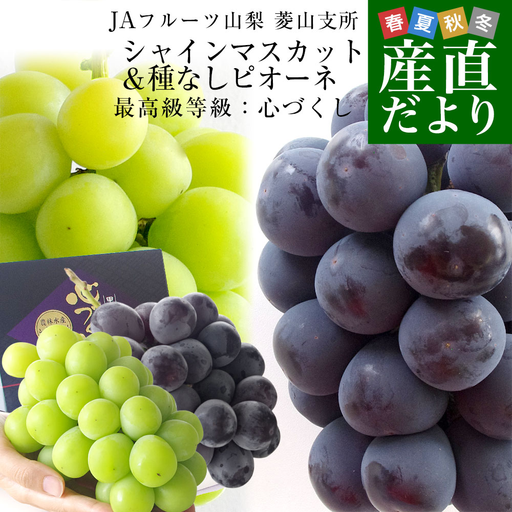 山梨県より産地直送 JAフルーツ山梨菱山支所 シャインマスカット&種