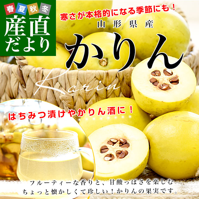 ‼️最後の値段‼️激安します‼️4/16①‼️唐物買取‼️名前有り‼️白泥製の透かしの花瓶‼️ 山形県産 かりん 約4キロ 秀品以上 LからMサイズ (12玉から16玉