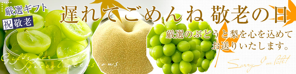 遅れてごめんね敬老