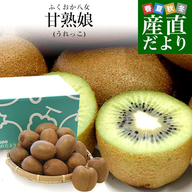 キウイ グリーン」の人気商品一覧 | 安い商品を通販サイトから探す