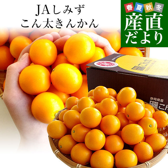 静岡県産　JAしみず　こん太きんかん　3Lから2L　秀品　約1キロ　金柑　キンカン 送料無料