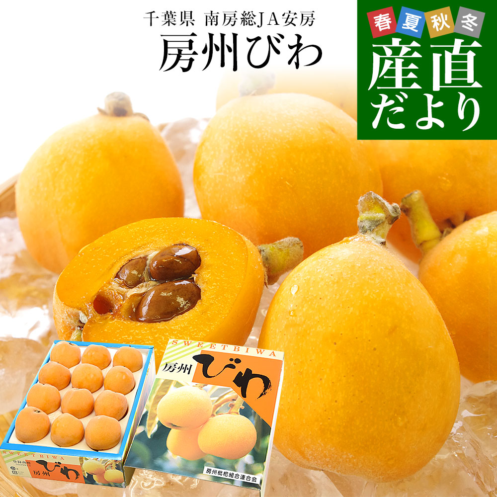 千葉県 南房総 JA安房 房州びわ 約1キロ 12粒入り 3Lから2Lサイズ 送料 