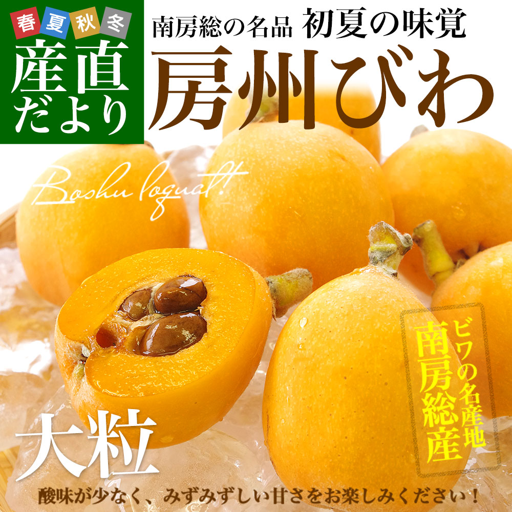 千葉県 南房総 JA安房 房州びわ 約1キロ 12粒入り 3Lから2Lサイズ 送料