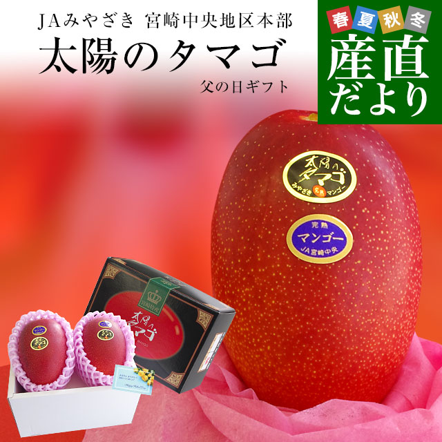 【遅れてごめんね父の日ギフト】宮崎県より産地直送 JAみやざき 宮崎中央地区本部 完熟マンゴー 太陽のタマゴ 2L×2玉 (350から449g×2玉)プレゼント 送料無料