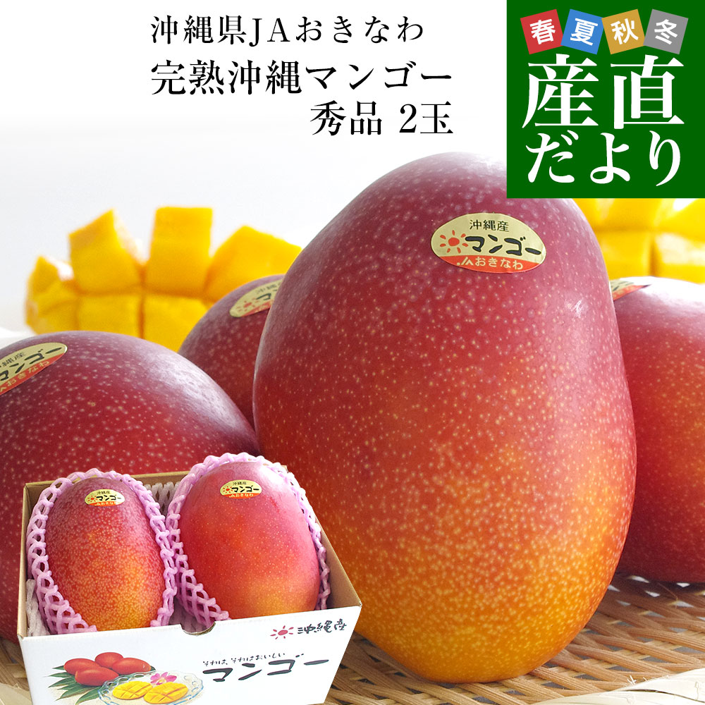 沖縄県より産地直送 JAおきなわ 完熟沖縄マンゴー 秀品 2Lサイズ×2玉