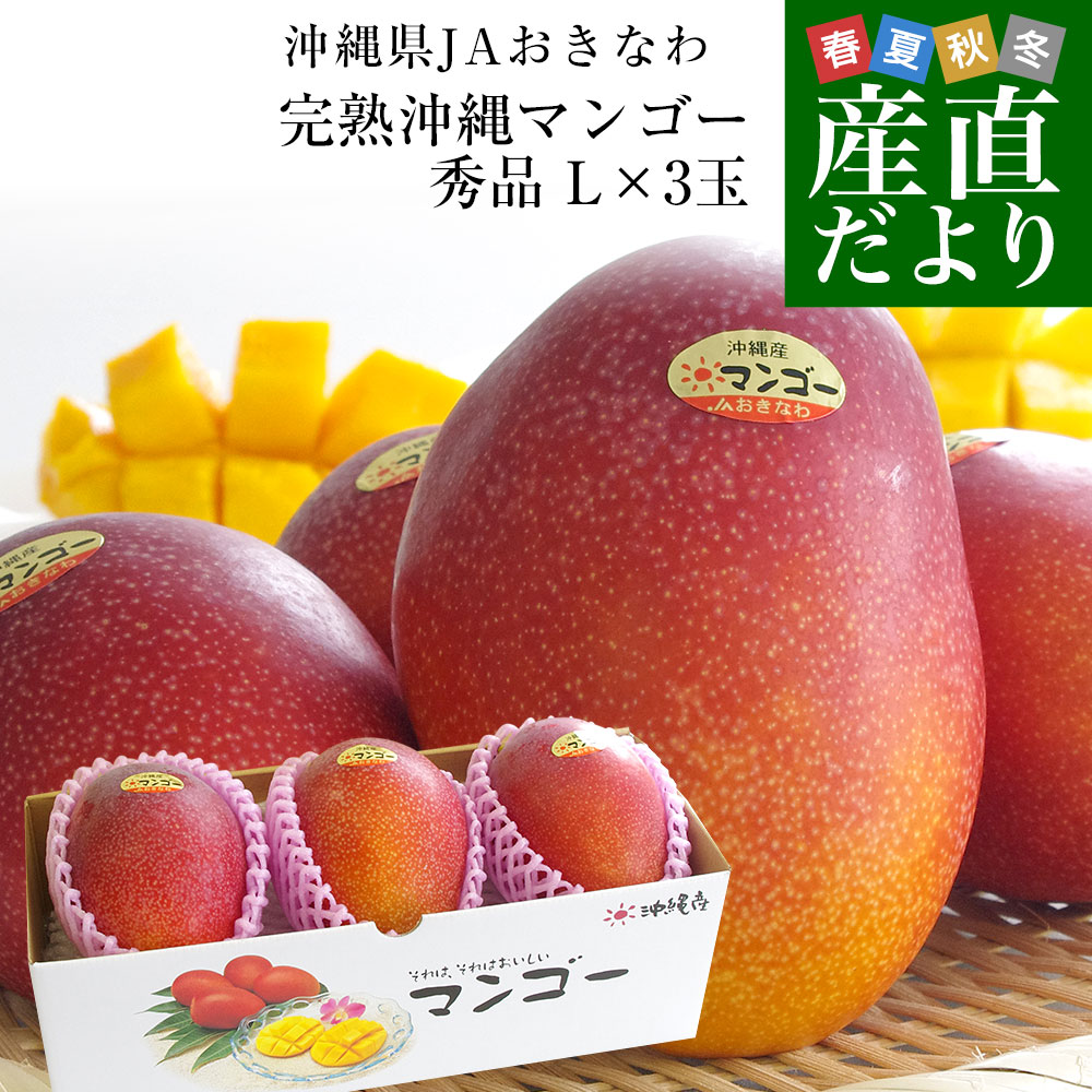 沖縄県より産地直送 JAおきなわ 完熟沖縄マンゴー 秀品 Lサイズ×3玉