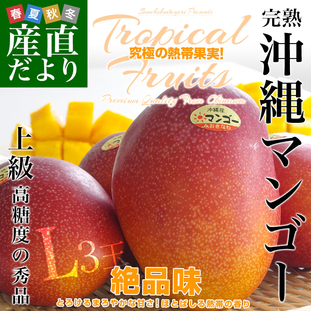 沖縄県より産地直送 JAおきなわ 完熟沖縄マンゴー 秀品 Lサイズ×3玉
