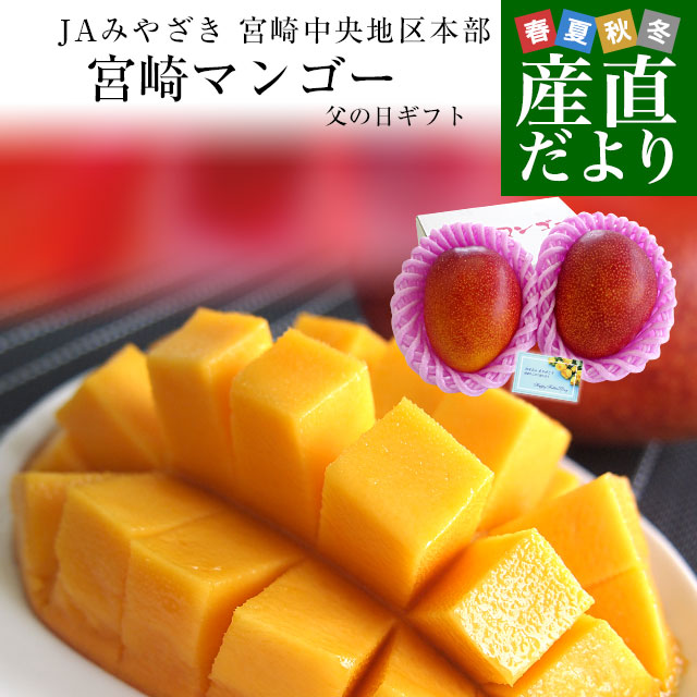 【遅れてごめんね父の日ギフト】宮崎県より産地直送 JAみやざき 宮崎中央地区本部 完熟マンゴー 大玉2L×2玉 父の日プレゼント 送料無料
