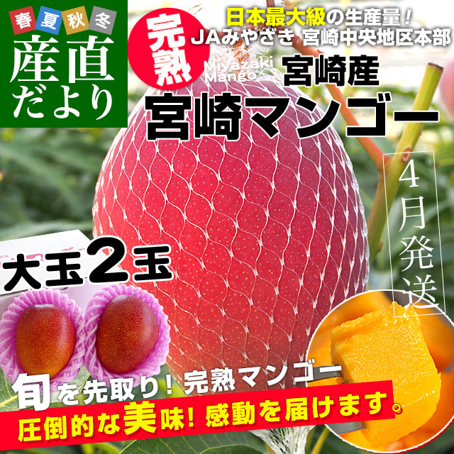 宮崎県より産地直送 JAみやざき 宮崎中央地区本部 宮崎完熟