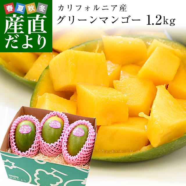 摘果マンゴー グリーンマンゴー 14.2キロ 宮古島産摘果マンゴー ②（グリーンマンゴー）15kg 100-380g