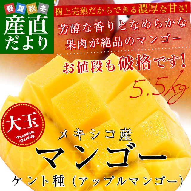 メキシコ産 アップルマンゴー(ケント種)約5.5キロ原体箱(12玉 メキシコ産 アップルマンゴー(ケント種)約5.5キロ原体箱(12玉