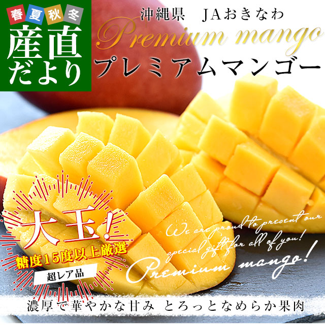 沖縄県より産地直送 JAおきなわプレミアムマンゴー赤秀品 大玉3L