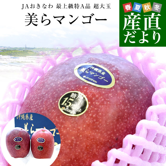 沖縄県より産地直送 JAおきなわ 美らマンゴー 最上級特A品 超大
