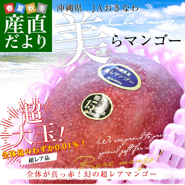 SUNFLOWER 1245214 関税送料込 沖縄県より産地直送 JAおきなわ 美らマンゴー 最上級特A品 超大