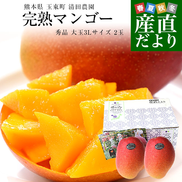 熊本県から産地直送 玉東町 清田農園 完熟マンゴー 秀品 大玉3Lサイズ