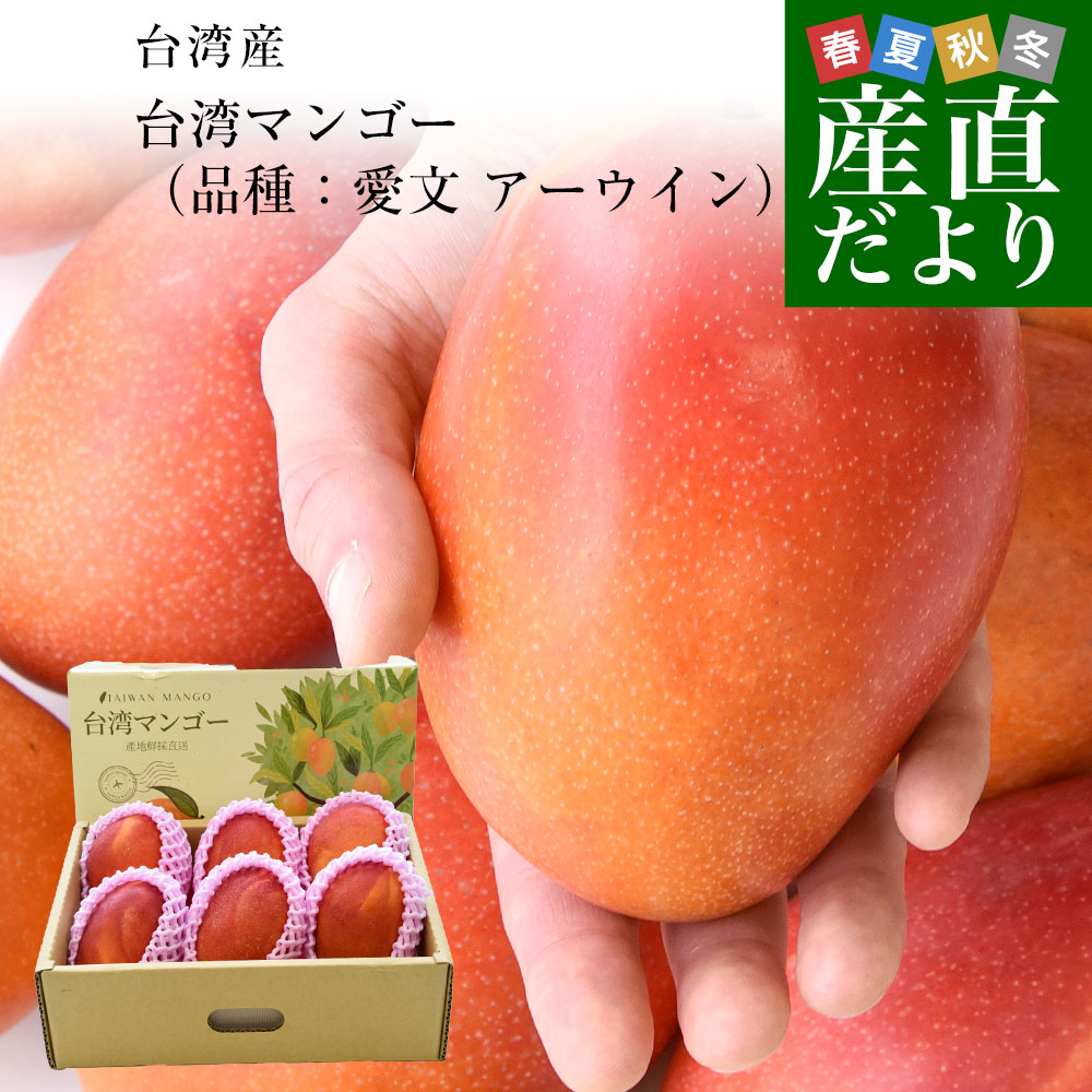 ペルー産 アップルマンゴー ケント種 約1.3キロ（3玉入） 送料無料