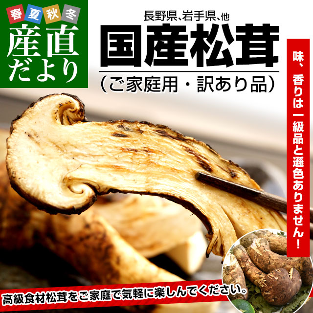 国産松茸（ご家庭用・訳あり品）身の割れ、欠け、規格外含む 約180g以上（2本から10本） 送料無料 クール便 まつたけ マツタケ 市場発送 :  1338872802-c1 : 産直だより - 通販 - Yahoo!ショッピング