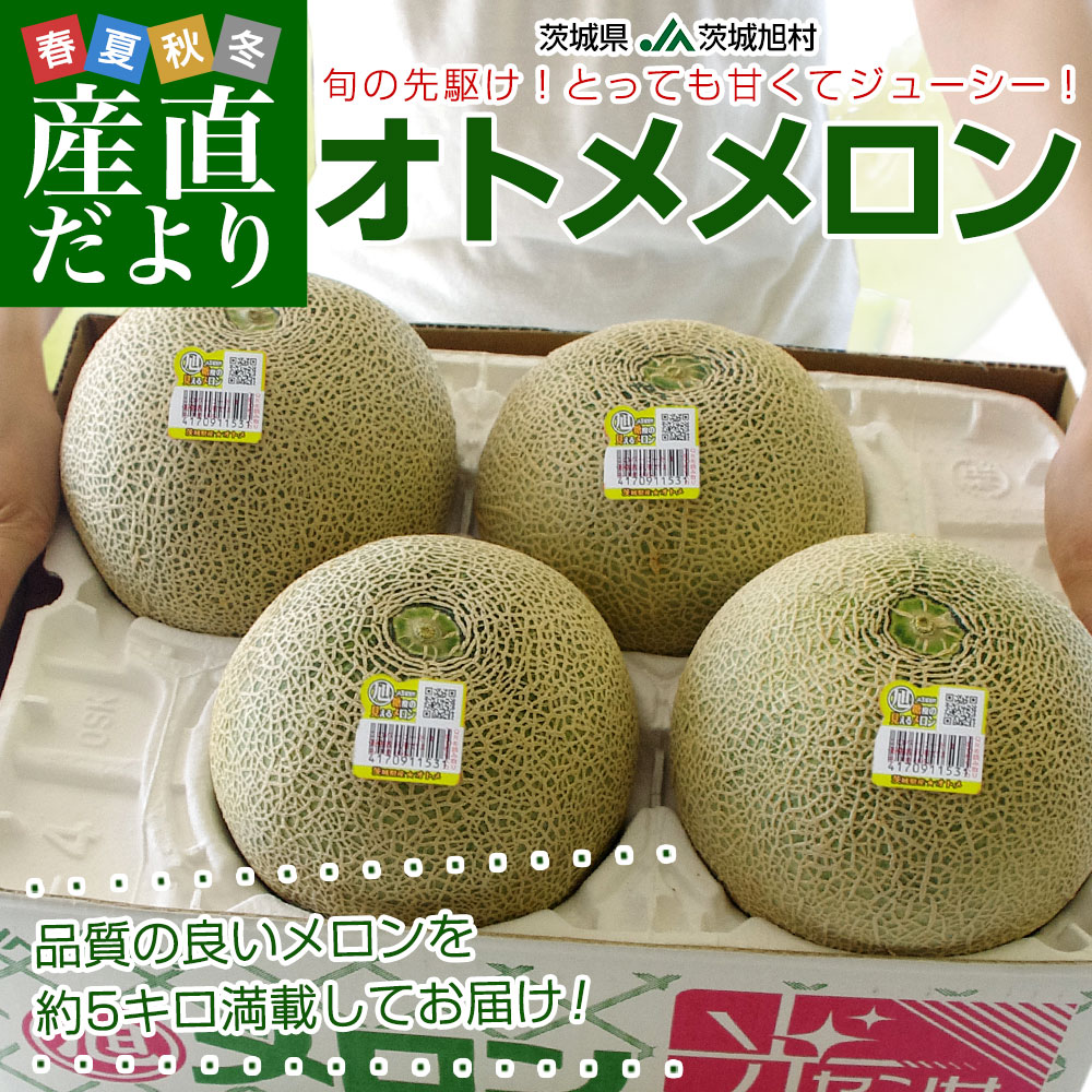 茨城県産 JA茨城旭村 オトメメロン 優品以上4Lから3Lサイズ 約5キロ (3
