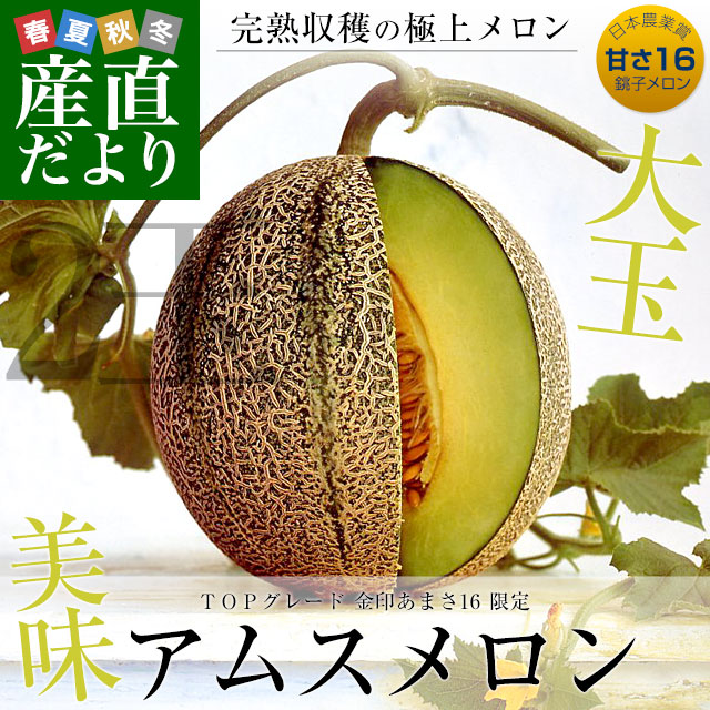 ‼️メロン‼️ 分けてお支払い 1️⃣ 千葉県産 JAちばみどり アムスメロン 金印16 大玉 合計約4キロ