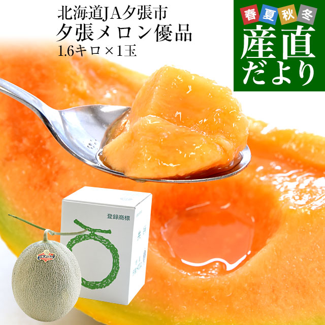 北海道より産地直送 JA夕張市 夕張メロン 優品 1玉(1.6キロ×1玉