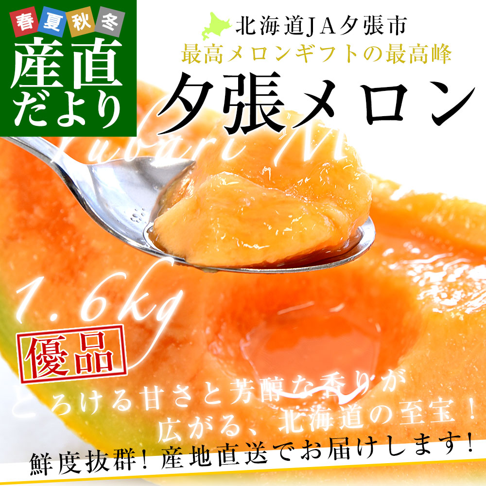 北海道より産地直送 JA夕張市 夕張メロン 優品 1玉(1.6キロ×1玉) 送料