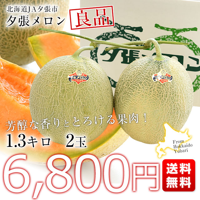 北海道より産地直送 JA夕張市 夕張メロン 良品 2玉(1.3キロ×2玉