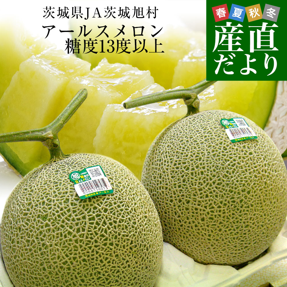 茨城県産 JA茨城旭村 アールスメロン 糖度13度以上 約3キロ （大2玉