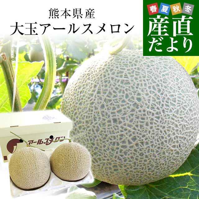 【お歳暮 ギフト】熊本県産 アールスメロン 約3.5キロ 化粧箱(2玉入り) 送料無料 めろん