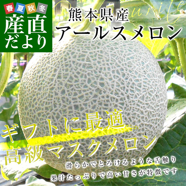 『特価』熊本県産アールスメロン 熊本県産 特大アールスメロン 約3.5キロ 化粧箱(2玉入り) 送料