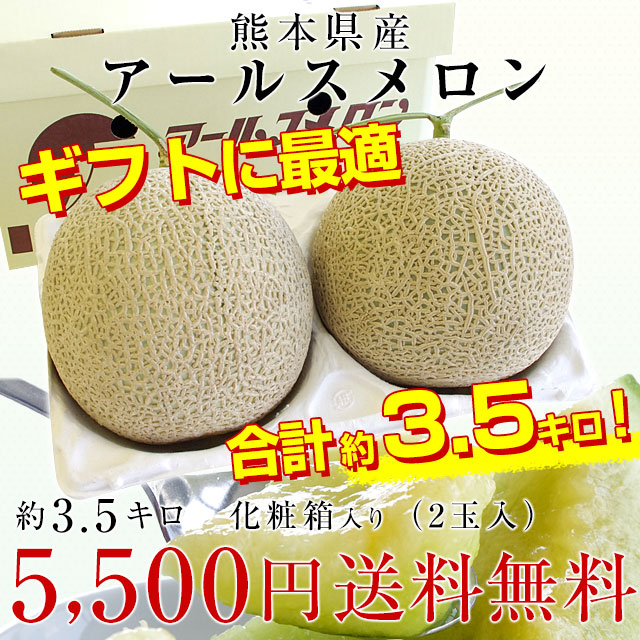 熊本県産 アールスメロン 約3.5キロ 化粧箱(２玉入り) 送料無料 めろん JA熊本市 JA鹿本 JA熊本うき 御歳暮 ギフト :  1238872831 : 産直だより - 通販 - Yahoo!ショッピング