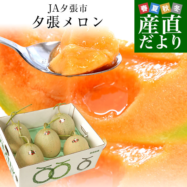 北海道産 JA夕張市 夕張メロン 良品 約8キロ （5玉入） 送料無料