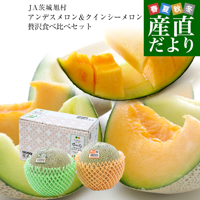 茨城県産 JA茨城旭村 アンデスメロン＆クインシーメロン 秀品 2玉